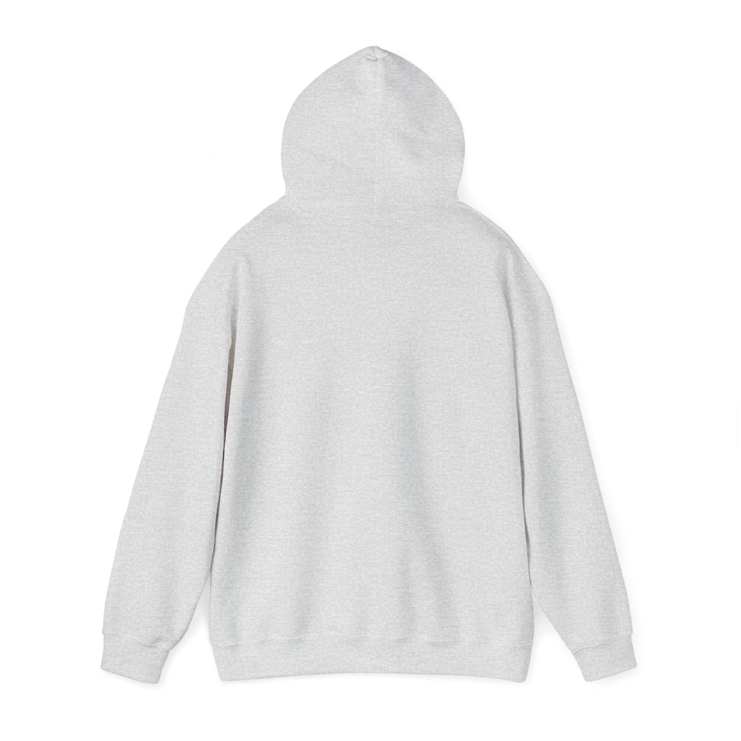 Hooded Sweatshirt for November Babies: Dream Chasers