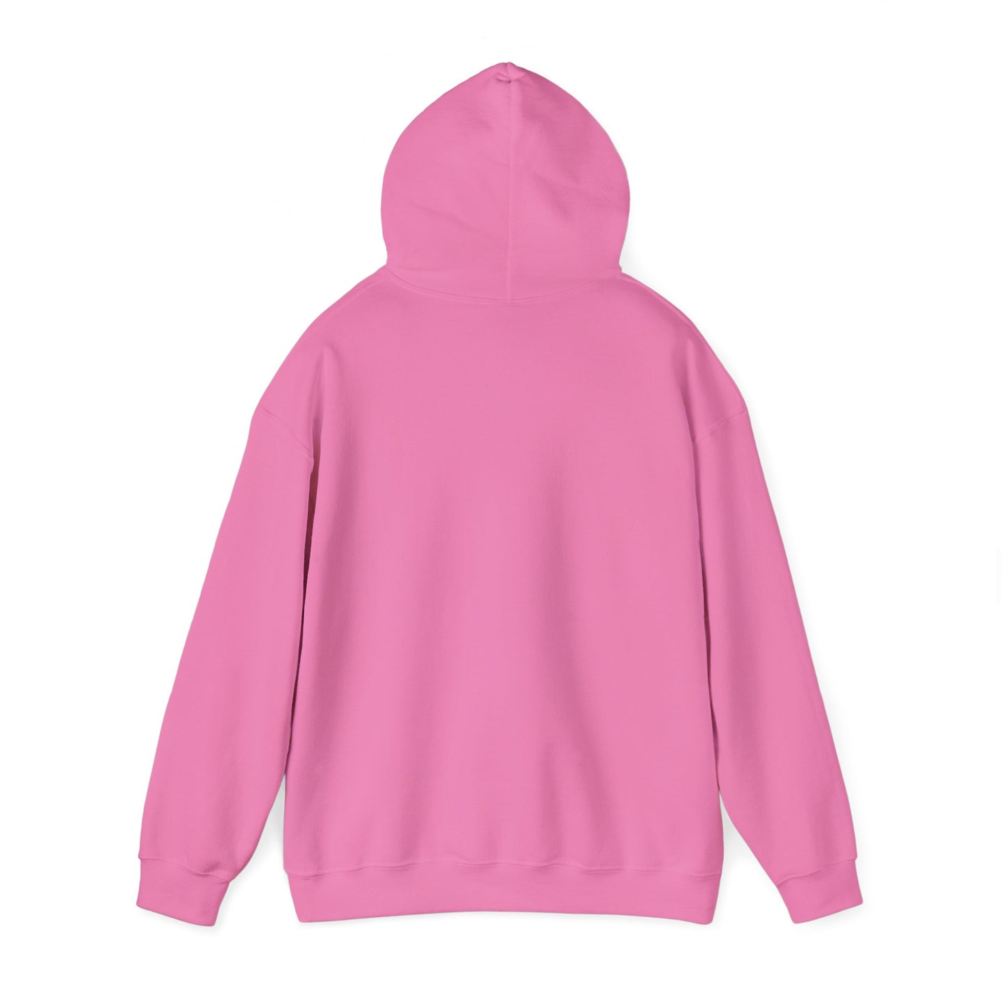 Sagittarius Hooded Sweatshirt