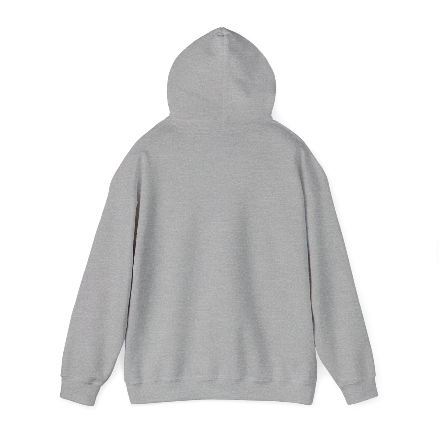 Hooded Sweatshirt for November Babies: Dream Chasers