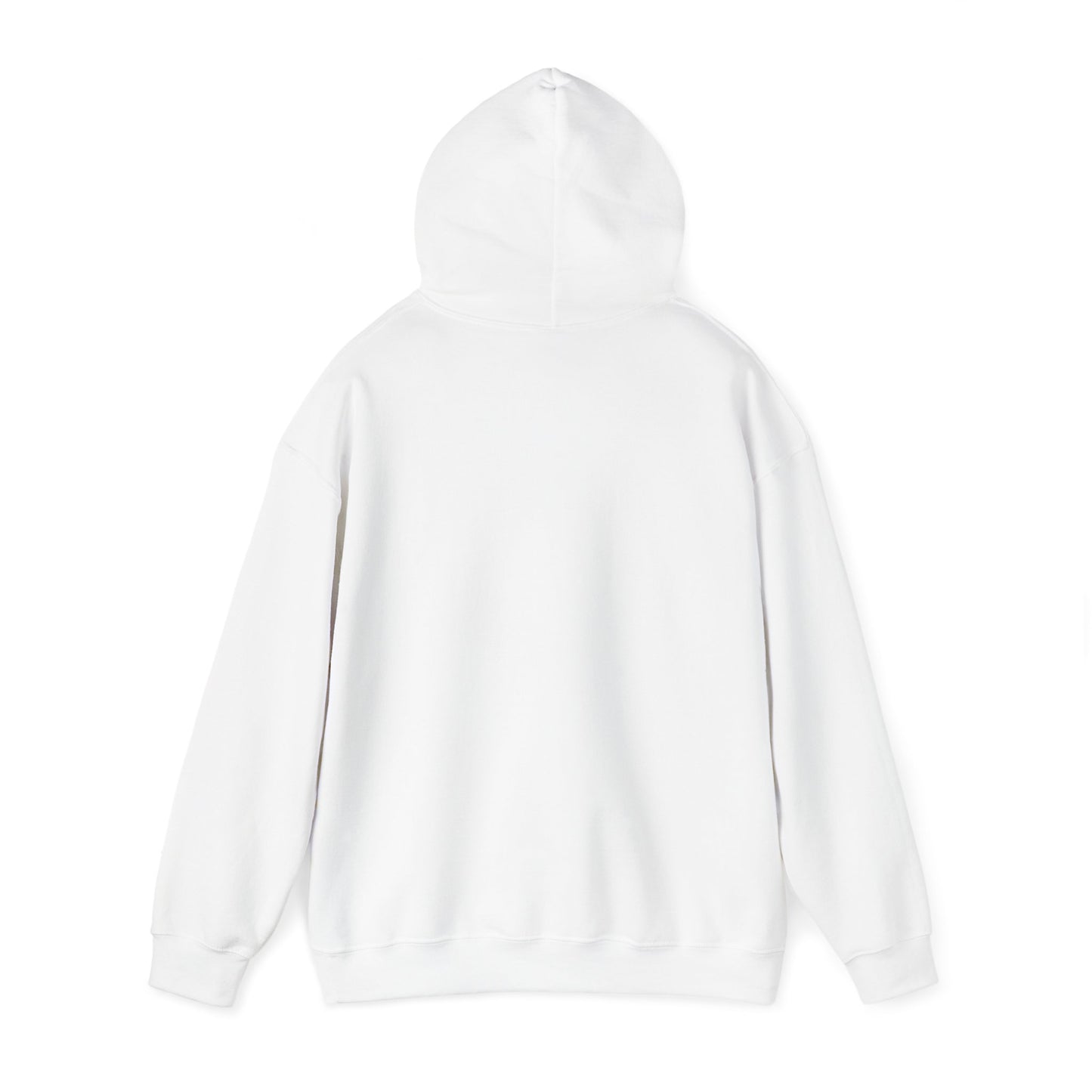 Hooded Sweatshirt for November Babies: Dream Chasers